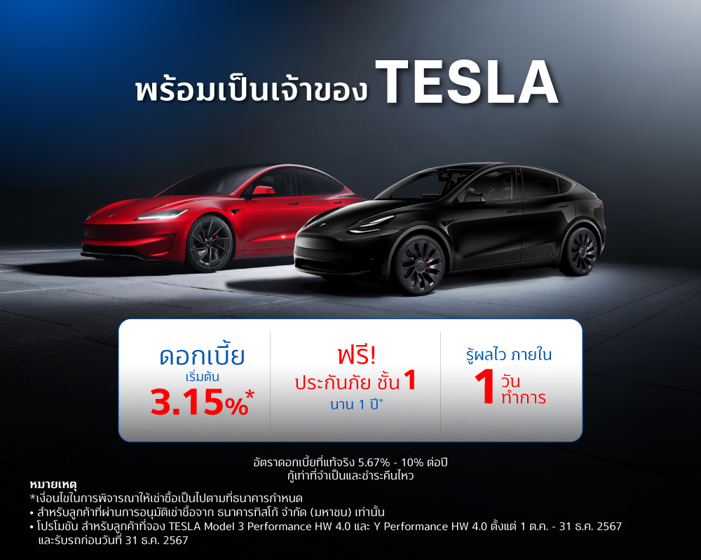 Tesla 1000x800 Model 3 Y Performance 2